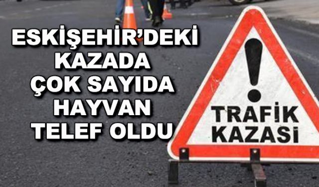 Eskişehir'deki kazada çok sayıda hayvan telef oldu