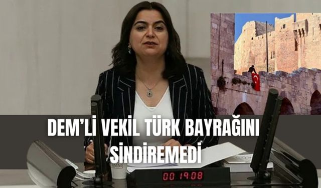 DEM'li vekil Halep Kalesi'ne asılan Türk Bayrağı'nı sindiremedi