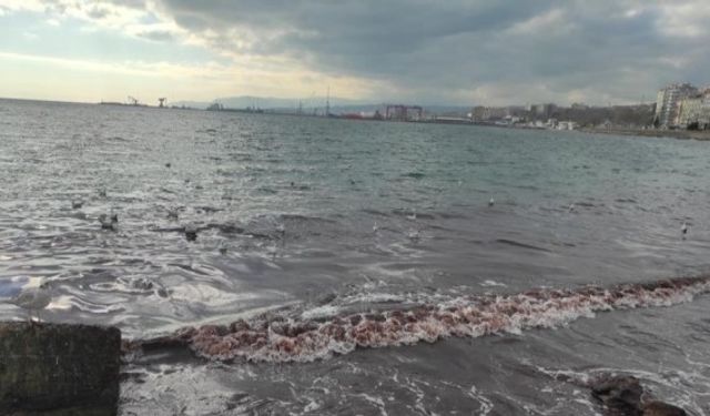 Poyraz fırtınası Marmara Denizi'nin kıyılarını kızıl renge boyadı