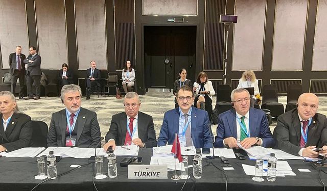 Fatih Dönmez Sofya'da çalışmalara katıldı