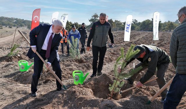 TEI’den 17 Bin Fidanlık 40. Yıl Hatıra Ormanı Kuruldu
