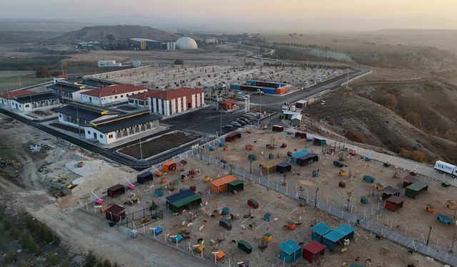 "Şefkatle yaptık, sevgiyle yaşatacağız"