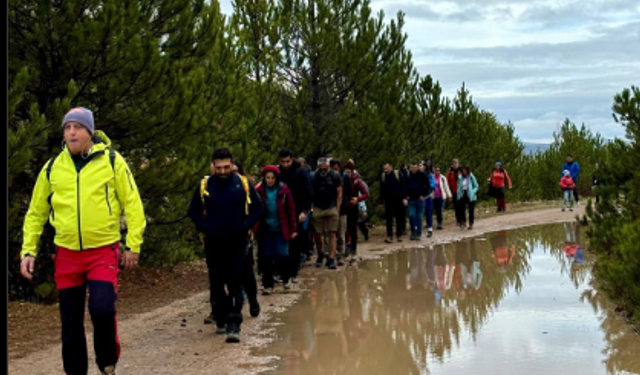 Yangın bölgesinde fidan dikimi etkinliği