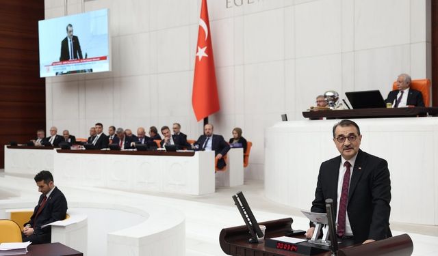 Dönmez Türkiye'nin enerji dönüşümünü değerlendirdi