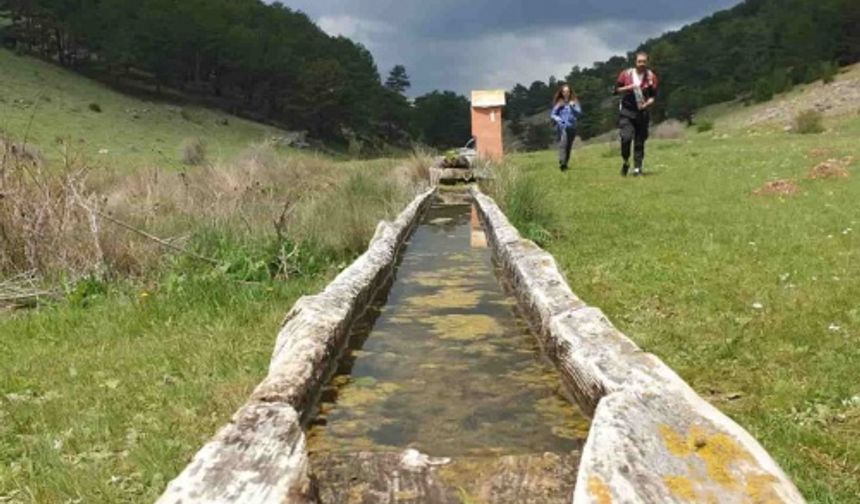 Düzenli olarak yürüyüş yapan Eskişehirli doğa tutkunları, hafta sonlarını Seyitgazi ilçesi Göcenoluk Mahallesi’nde bulunan Zahran Vadisi’nde değerlendirdi.