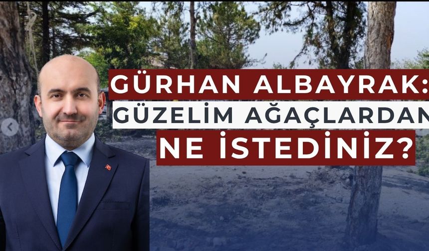 Albayrak'tan ağaç tepkisi