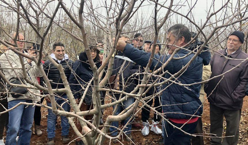 Budama eğitimi kayıtları başladı