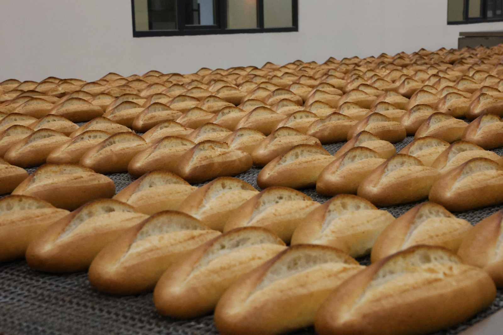 25E318C8 F1Ac 4C6C 9Ddf 47542A6E6Df0